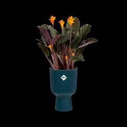 ohgreen Pot vibes fold coupe 14cm diepblauw