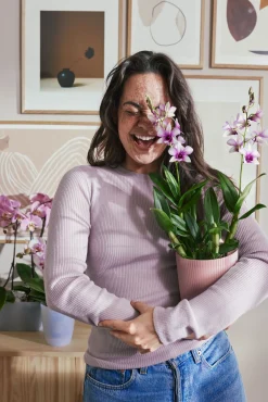 ohgreen Pot Vibes fold orchidee