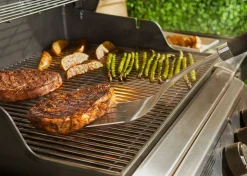 ohgreen PRECISION BARBECUESPATEL
