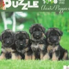 ohgreen Puzzle 1000 stuks Chiots/Puppies