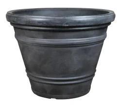 ohgreen Rinca doppio vintage ant d82