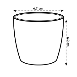 ohgreen Rond mini 7cm