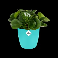 ohgreen Rond mini 9,5cm