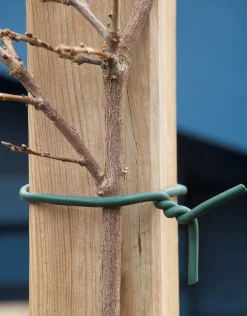 ohgreen Rubber bindband d6mm x 5m