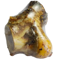 ohgreen Runderknokkel 1 st. (krimp) (met label)