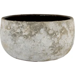 ohgreen Schaal sines