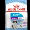 ohgreen Shn puppy giant 3.5kg
