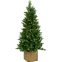 ohgreen Snowy norfolk entr. tree pot 137cm 200l transfo