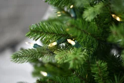 ohgreen Snowy norfolk entr. tree pot 137cm 200l transfo