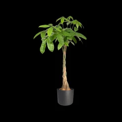 ohgreen SOFT ROND 35CM ANTRACIET