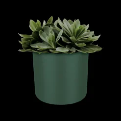 ohgreen SOFT ROND 16CM BLAD GROEN