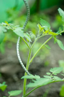 ohgreen Spiraalvormige plantensteun