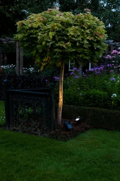 ohgreen Spot Lazise Solar