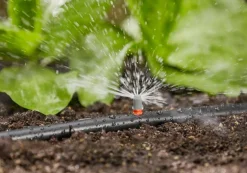 ohgreen Startset voor bloembedden of moestuin