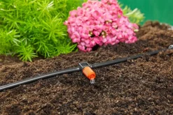 ohgreen Startset voor terras of balkon