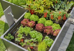 ohgreen Startset voor verhoogde bloembedden en moestuinen