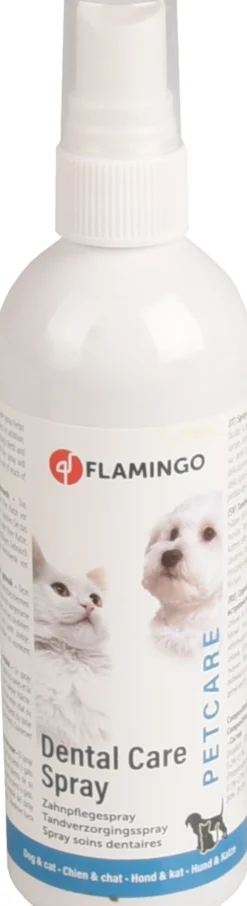 ohgreen Tandverzorgingsspray munt -  spray