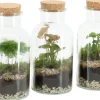ohgreen Terrarium