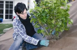 ohgreen Tuindoek gold 1,15x10m 125g/m²