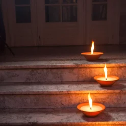 ohgreen Tuinkaars Royal flame in terracotta schaal 13u - ivoor