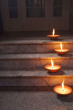 ohgreen Tuinkaars Royal flame in terracotta schaal 13u - ivoor