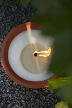 ohgreen Tuinkaars Royal flame in terracotta schaal 13u - ivoor