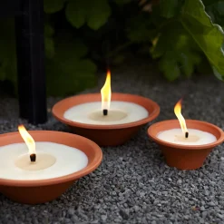 ohgreen Tuinkaars Royal flame in terracotta schaal 13u - ivoor