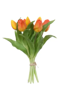 ohgreen Tulpenbundel oranje