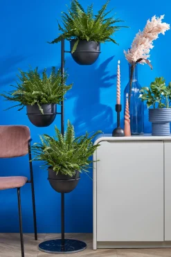 ohgreen Twist Kegelkaars - H25 x 5 cm