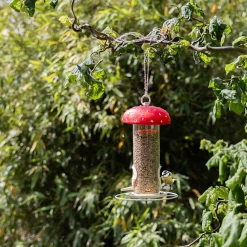 ohgreen Voedersilo vliegenzwam