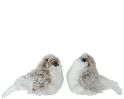 ohgreen Vogel kunstbont