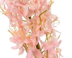 ohgreen Vossenstaart