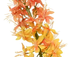 ohgreen Vossenstaart