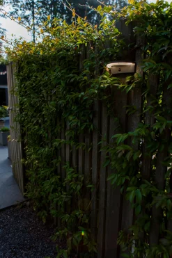 ohgreen Vyzor solar wandlamp