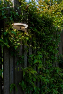 ohgreen Vyzor solar wandlamp