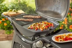 ohgreen WEBER BAKPLAAT Q 3000 SERIES