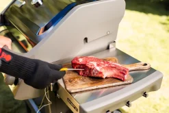 ohgreen WEBER IGRILL PRO VLEESSENSOR
