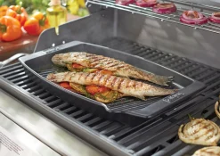 ohgreen WEBER KERAMISCHE GRILLPAN 47 X 28 CM