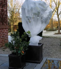 ohgreen Winterafdekvlies 2x5m wit 30g/m²