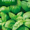 ohgreen Zaden basilicum grootbladige 2g