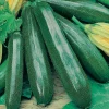 ohgreen Zaden: courgette black beauty