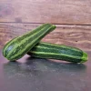 ohgreen Zaden: courgette verte d'italie