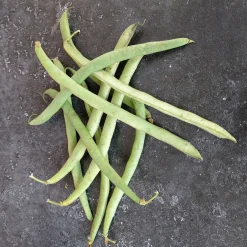 ohgreen Zaden: stamslaboon (prinsessenboon) koning der belgen